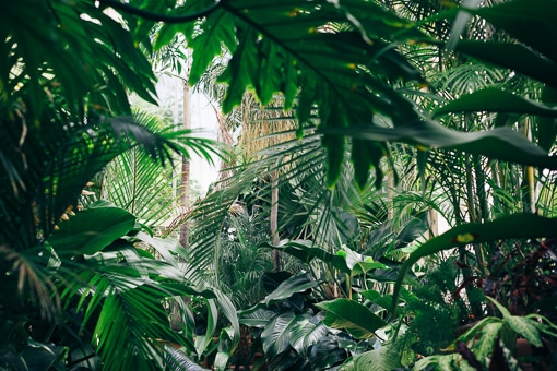 Sustainable Activities in Accra